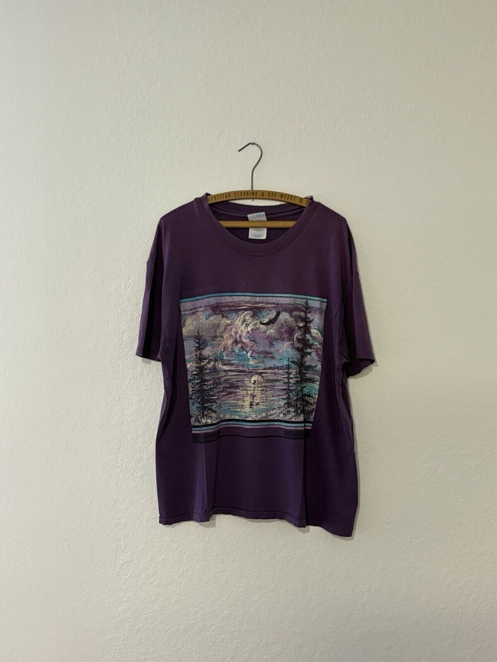 Vintage Oregon Coast Nature Distressed Faded T-shirt Men XL 90s Single Stitch